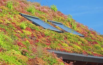 Mawdesley living roof systems